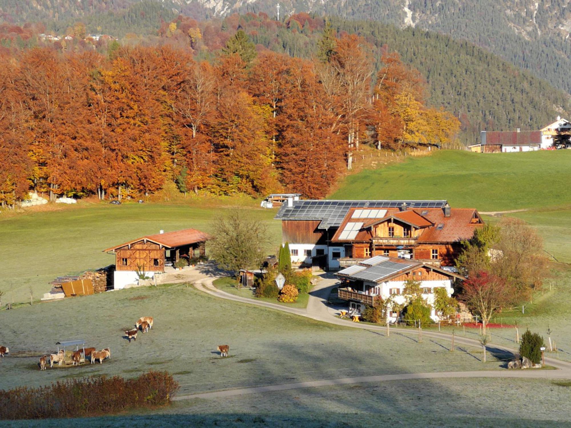 Appartamento Oberreitlehen Bischofswiesen Esterno foto